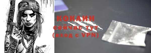 дживик Алзамай